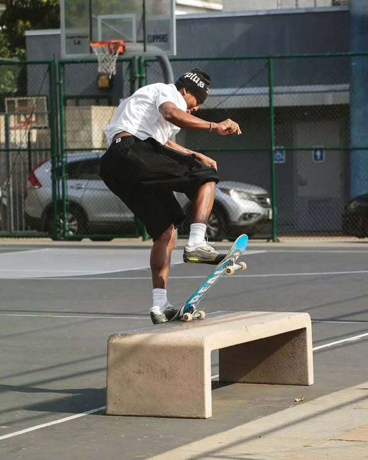 Nike SB Ishod Cargo Pants