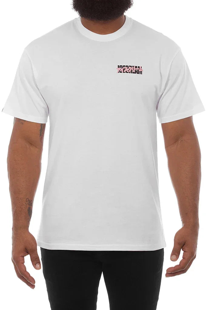 Icecream Cyber Truck SS Tee